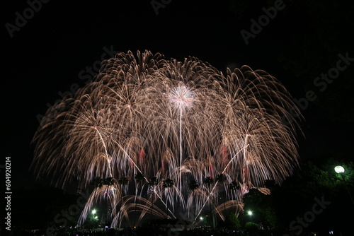 Nagoya Art Fireworks Festival in Japan