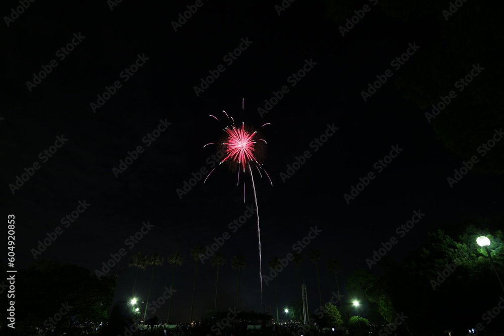 Nagoya Art Fireworks Festival in Japan