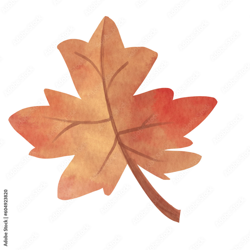 Fototapeta premium Autumn fallen leaves watercolor