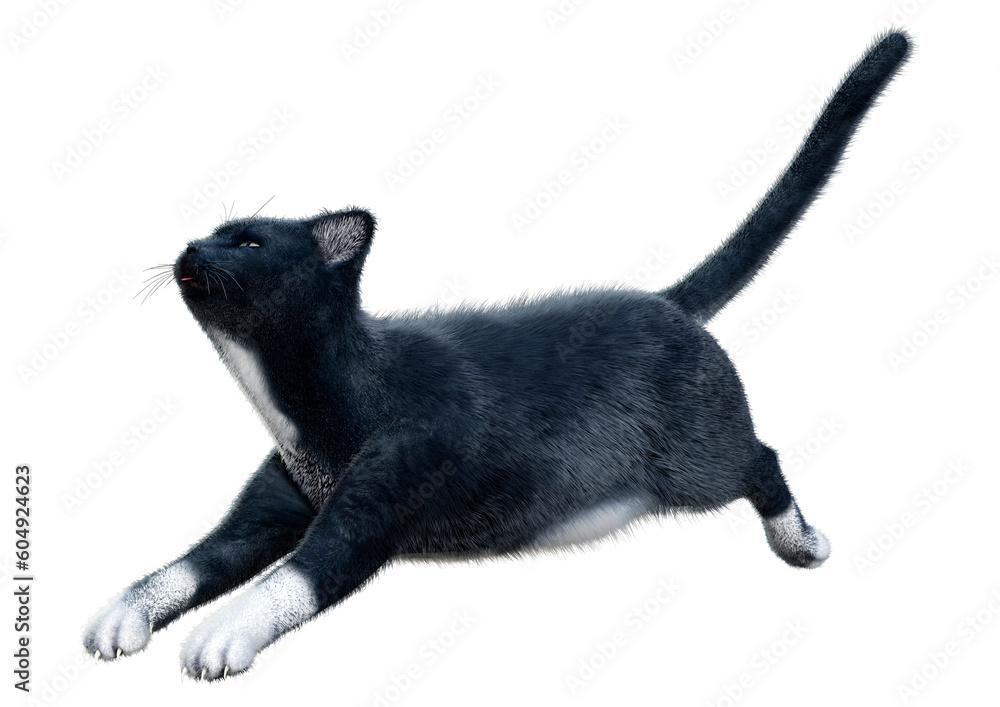 3D Rendering Black Cat on White 3D Rendering Black Cat on White