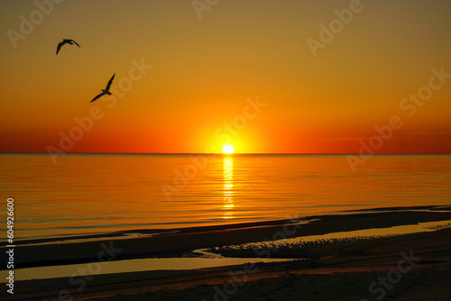 sunset on the beach © Julie