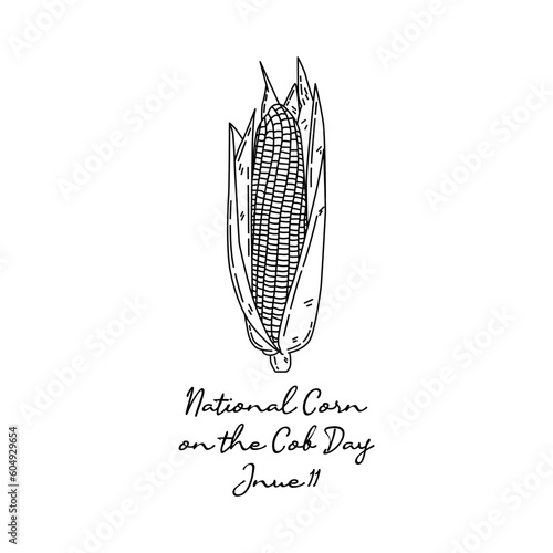 line art of national corn on the cob day good for national corn on the cob day celebrate. line art. illustration.