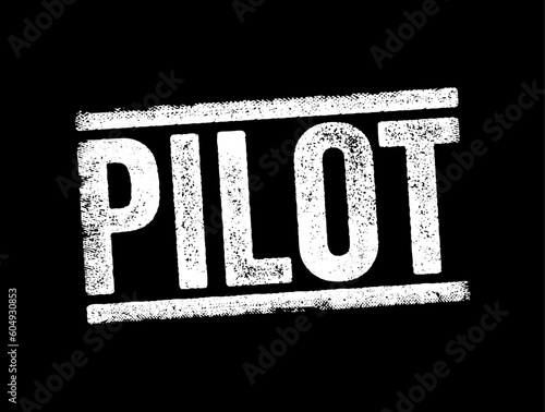 Pilot - a person who operates the flying controls of an aircraft, text concept stamp
