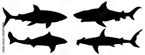 shark, angry, animal, aquatic, art, attack, black, carnivore, clip art, creature, danger, dangerous, deep, design, fear, fin, fish, giant,  silhouette, swim, symbol horror, hunt, icon, illustration,