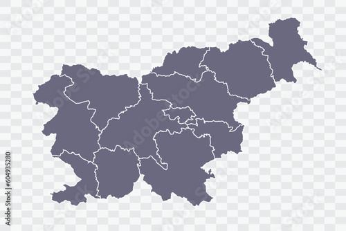 Slovenia Map pewter Color on White Background quality files Png