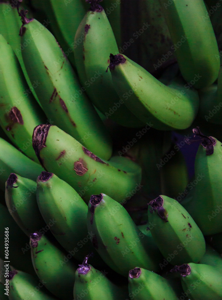 Close up shot of green banana or musa acuminata