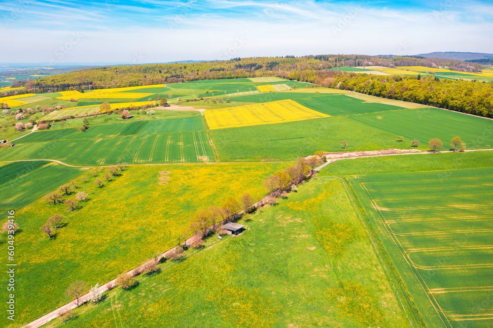 Obraz premium Aerial view of flowering rapeseed fields in the Taunus near Heftrich - Germany near Wiesbaden