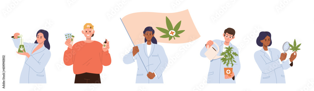 Set of scientist doctor testing cannabis marijuana plant for medical use in research laboratory Set of scientist doctor testing cannabis marijuana plant for medical use in research laboratory