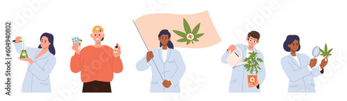 Set of scientist doctor testing cannabis marijuana plant for medical use in research laboratory