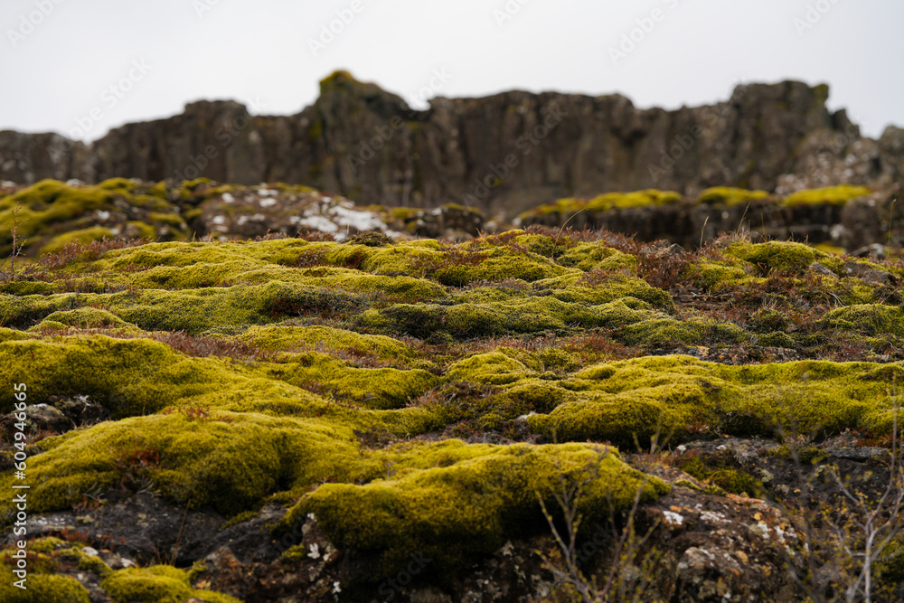landscape in Iceland. outdoor photography.