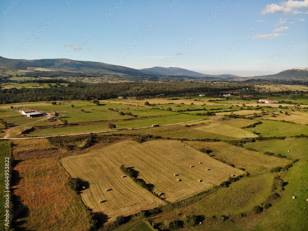 Fototapeta premium Mowing meadows in northern Spain
