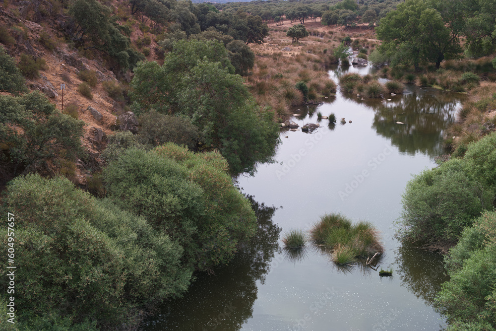 krajobraz góry skały rzeka rio manzanares widok natura drzewa krajobraz góry skały rzeka rio manzanares widok natura drzewa