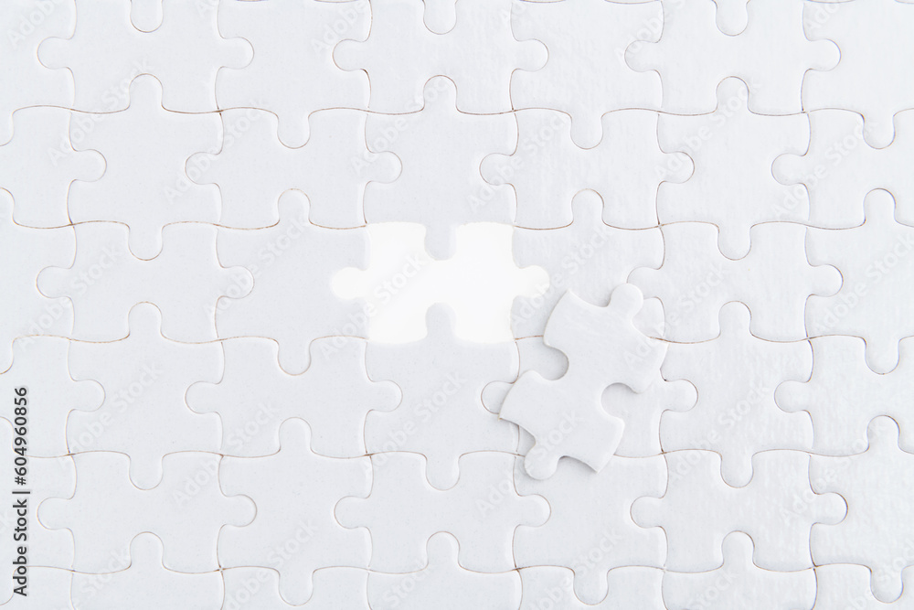 The missing piece of the jigsaw puzzle The missing piece of the jigsaw puzzle