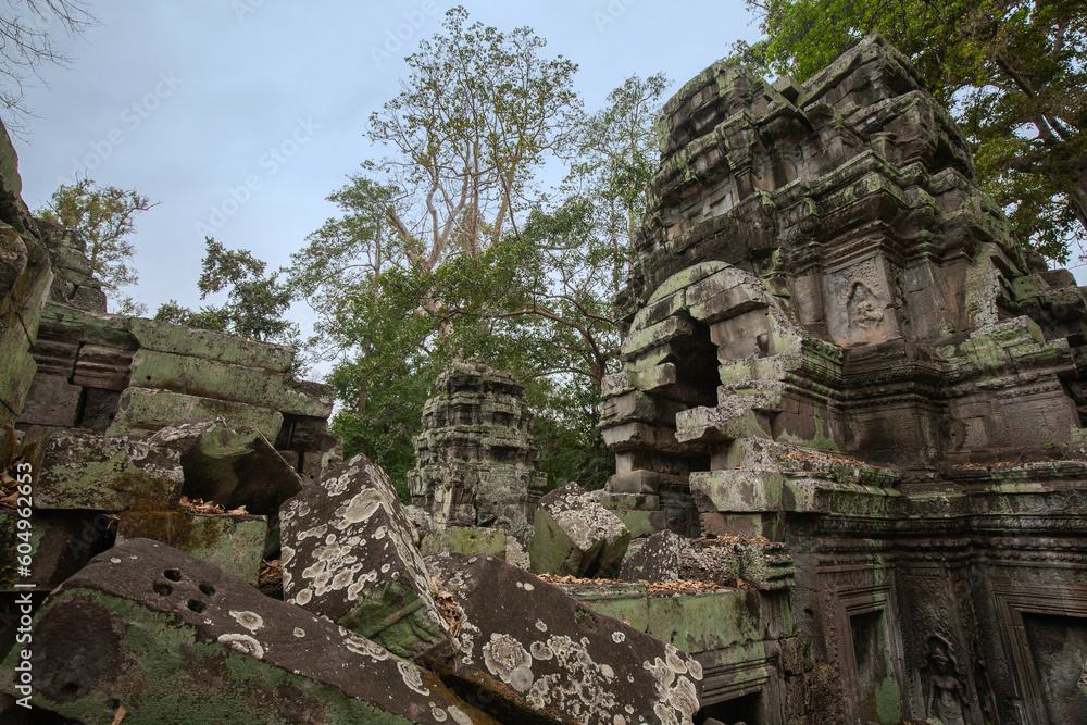 Ta Prohm Temple in Angkor Archaeological Park, Siem Reap, Cambodia