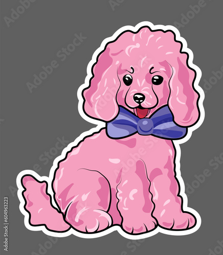 Pink poodle with a bow around his neck, sticker. Vector graphics