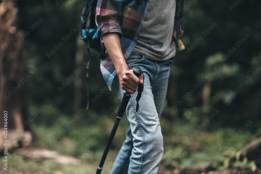 Fototapeta premium Hikers use trekking pole with backpacks and hold tent bag walking through the forest. hiking and adventure concept.