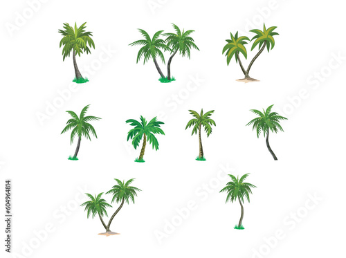 different variant palm tree collection vector illustration. isolated on a white artboard