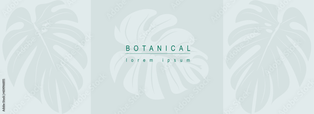 Botanical abstract background with floral line art design. Horizontal web banner in minimal style with green leaves of monstera, silhouettes of tropical jungle plant foliage. Vector illustration.