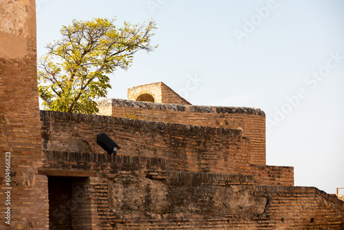 Architectural details of the Alhambra fortified palace complex and Granada city