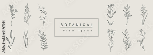 Botanical abstract background with floral line art design. Horizontal web banner with composition of herbal and bouquet collection with flowers, wildflowers, herbs and twigs. Vector illustration.