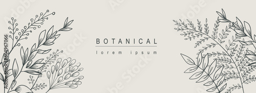 Botanical abstract background with floral line art design. Horizontal web banner with herbal composition of different meadow grass, twigs with leaves and foliage plants elements. Vector illustration.