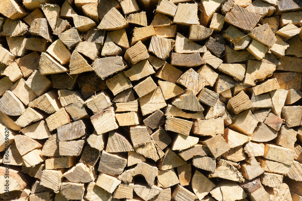 Tree cut cross section texture. Wood industry background. Chopped wood texture. Stacked tree logs pattern. Pile of raw tree wood in forest. Firewood background. Tree cut cross section texture. Wood industry background. Chopped wood texture. Stacked tree logs pattern. Pile of raw tree wood in forest. Firewood background.