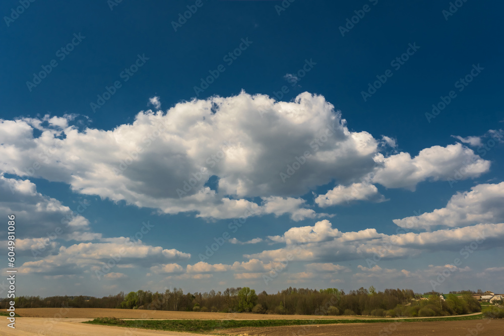 blue sky background with white striped clouds in heaven and infinity may use for sky replacement blue sky background with white striped clouds in heaven and infinity may use for sky replacement