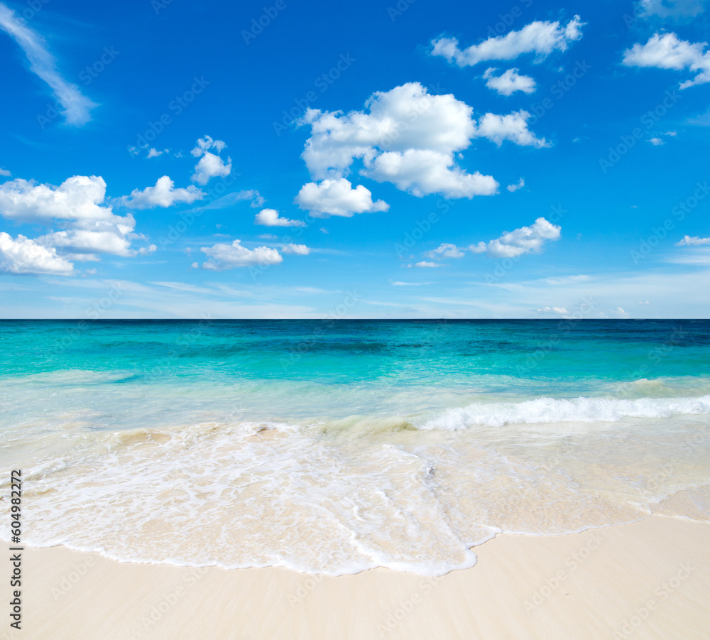 beach and tropical sea .  nature background