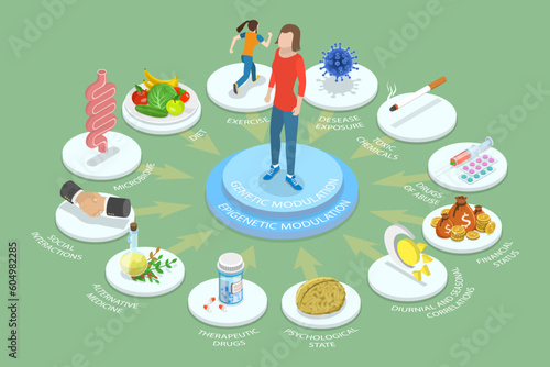 3D Isometric Flat Vector Conceptual Illustration of Epigenetic DNA, Educational Labeled Scientific Schema