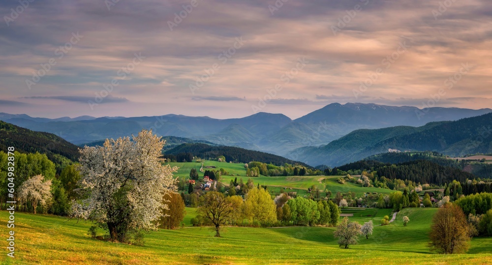 Panorama of picturesque mountain landscape in spring with blooming trees and green meadows. View of mountain field and meadow in the heart of Europe, Povraznik (Slovakia)