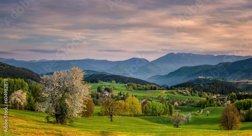 Panorama of picturesque mountain landscape in spring with blooming trees and green meadows. View of mountain field and meadow in the heart of Europe  Povraznik  Slovakia 