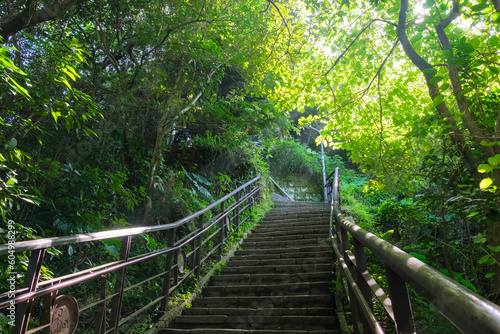台湾 台北市 象山自然歩道 登山道（捷運象山站からのコース）