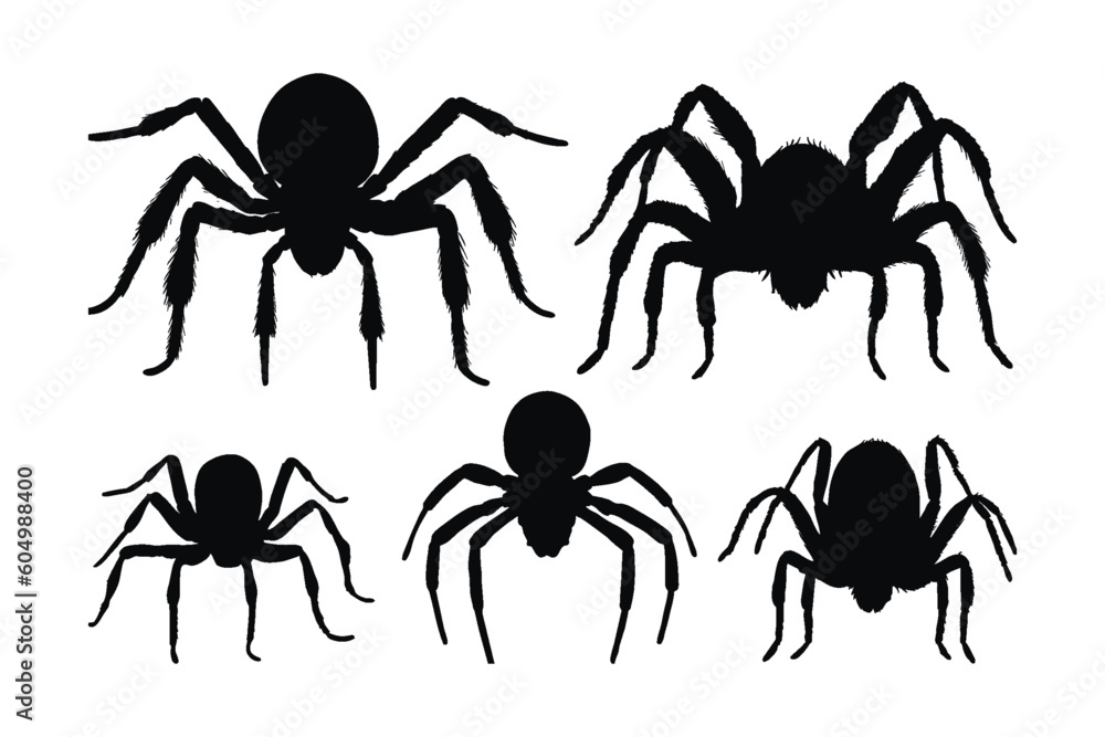 Fototapeta premium Spider walking silhouette bundle design. Wild spider vector design on a white background. Dangerous insects walking silhouette set vector. small insects in different positions silhouette collection.