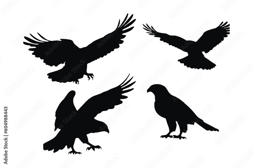 Obraz premium Wild Hawk vector design on a white background. Hawks flying silhouette bundle design. Wild Falcon flying silhouette set vector. Big predator bird flying in different positions silhouette collection.