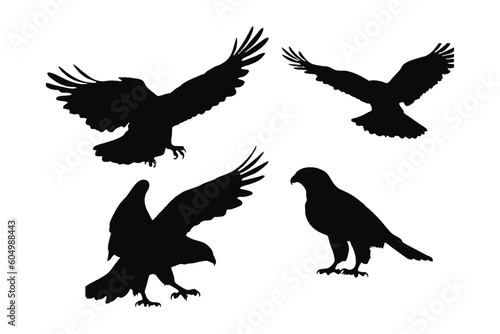 Wild Hawk vector design on a white background. Hawks flying silhouette bundle design. Wild Falcon flying silhouette set vector. Big predator bird flying in different positions silhouette collection.