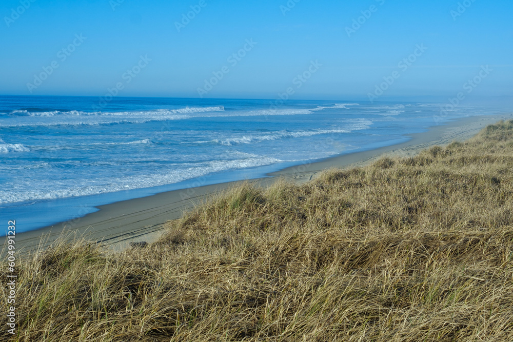 Beach, sand, grass and waves along the Oregon coast Beach, sand, grass and waves along the Oregon coast