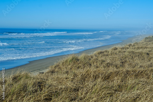 Beach, sand, grass and waves along the Oregon coast