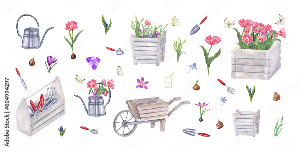 Watercolor set of garden tools, flowers, bulbs, butterflies isolated on transparent. Illustration of watering can, wooden pots, wheelbarrow, tool box, hand trowels, fork, crocus, tulip, blue snowdrops