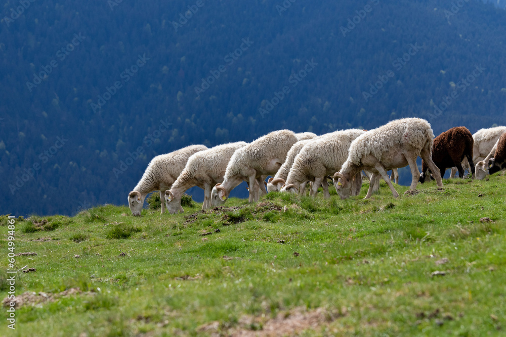Fototapeta premium Efficacité 