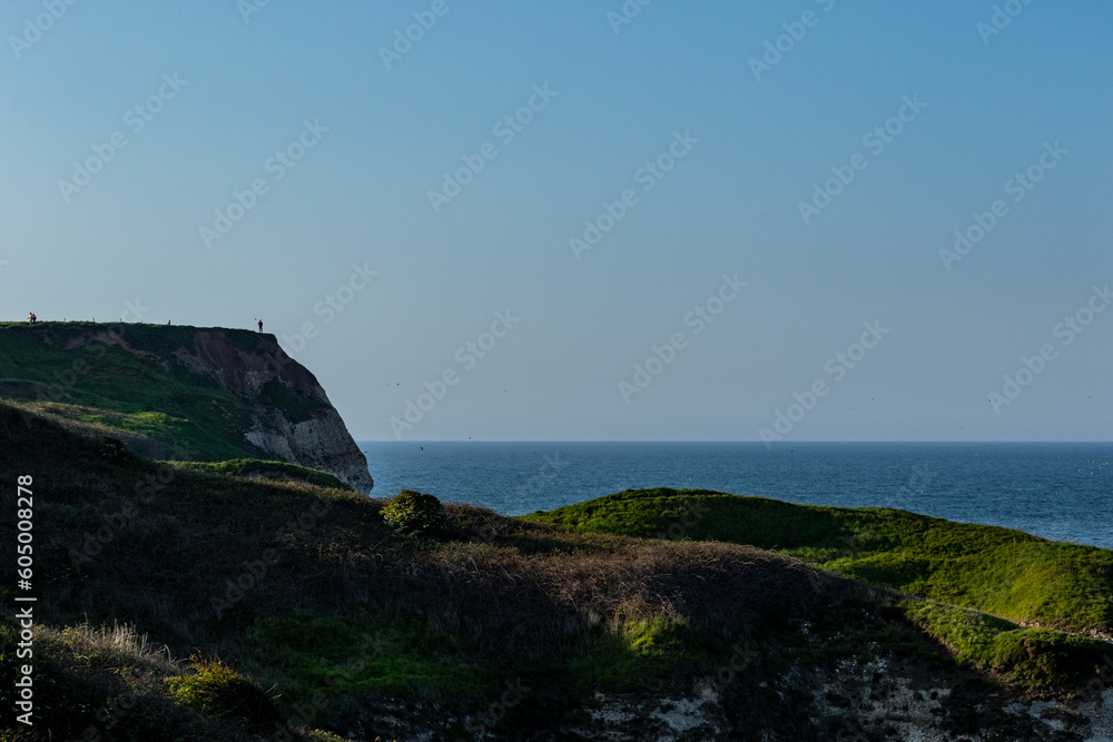 flamborough cliffs