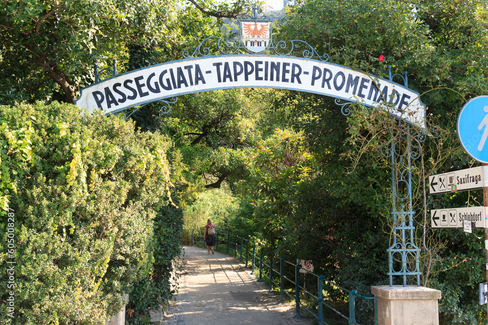 Walking path Tappeiner promenade above Merano, South Tyrol, Italy - obrazy, fototapety, plakaty 