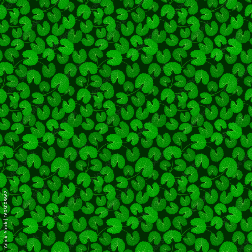 Fototapeta premium Fresh green leaf seamless pattern. Centella asiatica vector illustration. Gotu kola repeated texture. Asian pennywort endless background for organic cosmetics, natural products, food, eco design