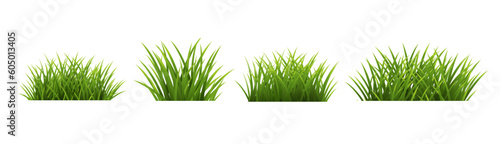 green grass