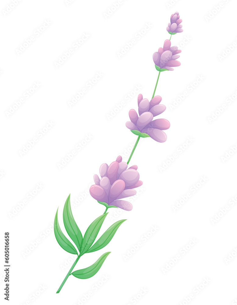 Sprig of lavender or lilac with purple flowers, leaves and petals. Vector isolated cartoon natural illustration.