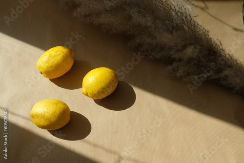 Lemons on rarsh light