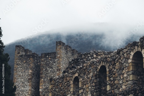 Medieval castle ruins in the myst