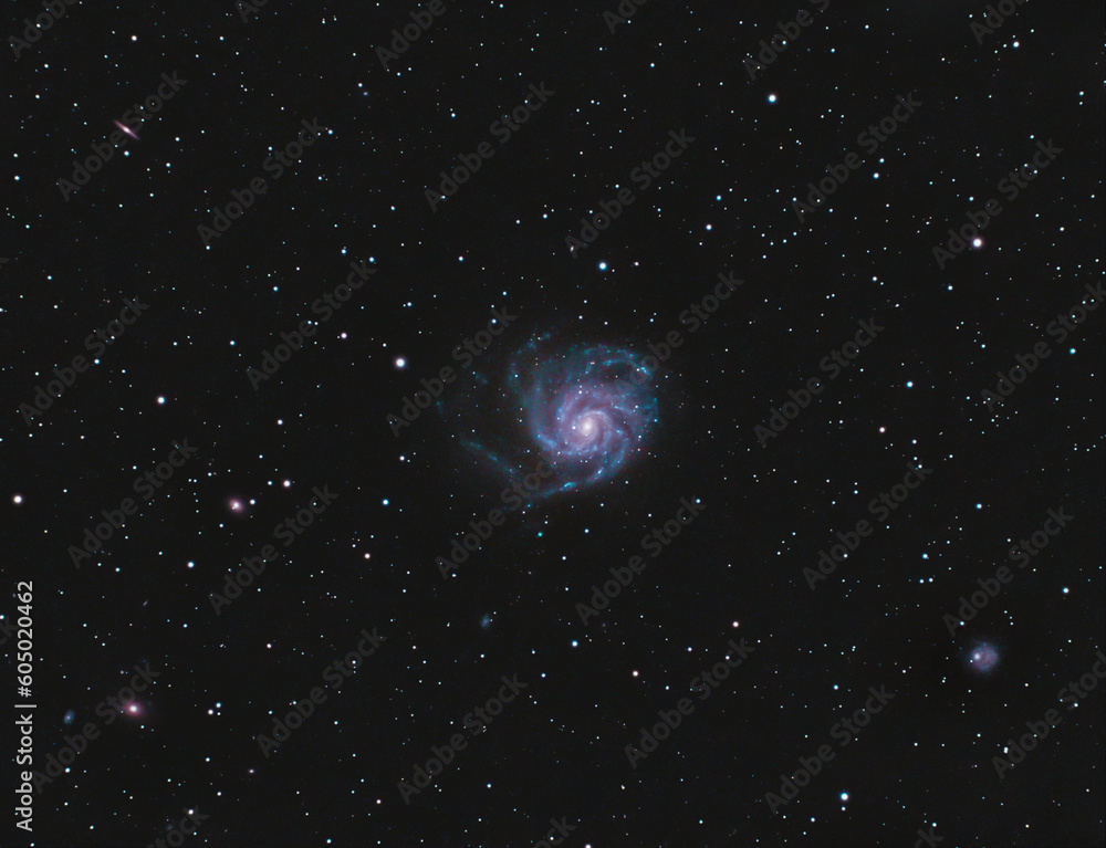 a beautiful wide field image of the Pinwheel galaxy. M101