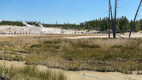 Norris Geyser Basin in Yellowstone National Park