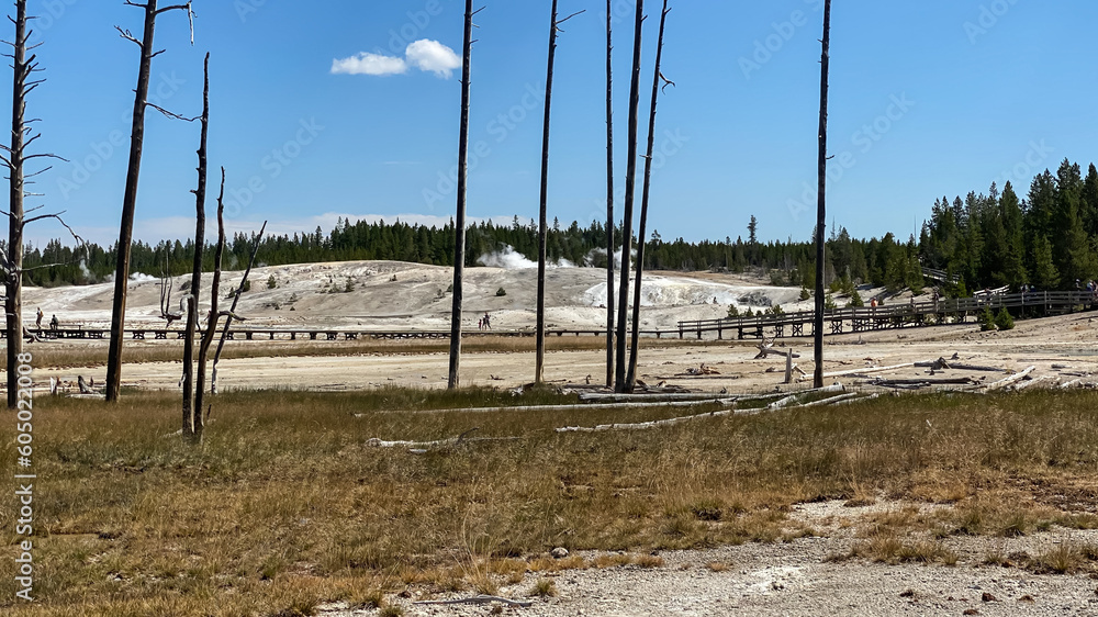 Norris Geyser Basin in Yellowstone National Park Norris Geyser Basin in Yellowstone National Park