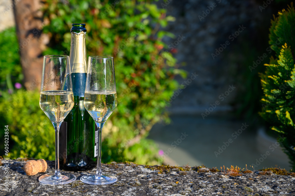 Tasting of premier cru sparkling white wine with bubbles champagne with view on old houses of Hautvillers, where lived Benedictine monk how developed champagne wine, France. Tasting of premier cru sparkling white wine with bubbles champagne with view on old houses of Hautvillers, where lived Benedictine monk how developed champagne wine, France.